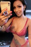 Verona Trans Escort Thayys Castro 329 72 89 046 foto selfie 100