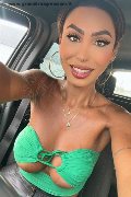 Verona Trans Escort Thayys Castro 329 72 89 046 foto selfie 12