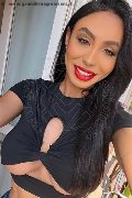 Verona Trans Escort Thayys Castro 329 72 89 046 foto selfie 34