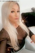 Villorba Trans Escort Pamy La Diva Stellare 324 78 19 703 foto selfie 431