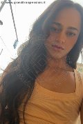 Bologna Trav Escort Victoria New 339 43 37 857 foto selfie 17
