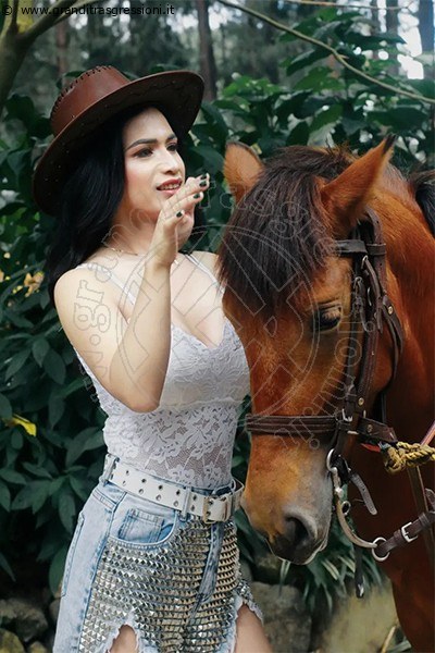 Bianca Lady Boy  PORDENONE 3932233064