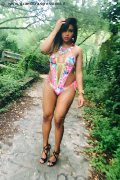Foto Annunci Trans Agrigento Lara Mulata Brasiliana - 41