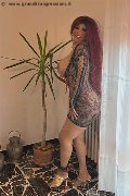 Foto Annunci Trans Siena Carolina Sexy - 10