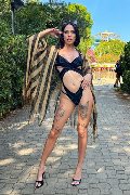 Foto Annunci Trans Verona Nick Miller - 51