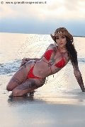 Foto Annunci Transescort Avellino Bruninha - 24