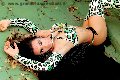 Foto Annunci Transescort Giussano Bella Solare - 23