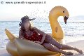 Foto Annunci Transescort Napoli Dafne Pornostar - 178