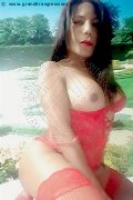 Foto Annunci Transescort Rovigo Nikoll - 7