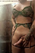 Foto Hot Annunci Transescort Arezzo Luce - 1