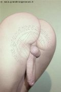 Foto Hot Annunci Trav Noventa Di Piave Vanessa Dior - 2