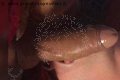 Bologna Trans Naomy Xl 329 01 67 932 foto selfie 102