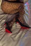 Milano Trans Nicole Andrade 329 89 48 041 foto selfie 1