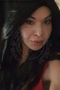 Prato Trans Tain� Oliveira 328 53 82 487 foto selfie 94