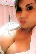 Viareggio Trans Dafne Pornostar 380 14 22 205 foto selfie 94