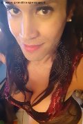 Biella Trans Escort Jaqueliny 353 20 75 033 foto selfie 8