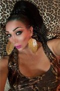 L'aquila Trans Escort Amanda 371 39 38 352 foto selfie 1
