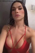 Milano Trans Escort Kelly Perutchelly 338 19 13 477 foto selfie 9