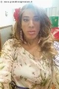 Arezzo Trav Esotica Xxl 345 06 48 136 foto selfie 1